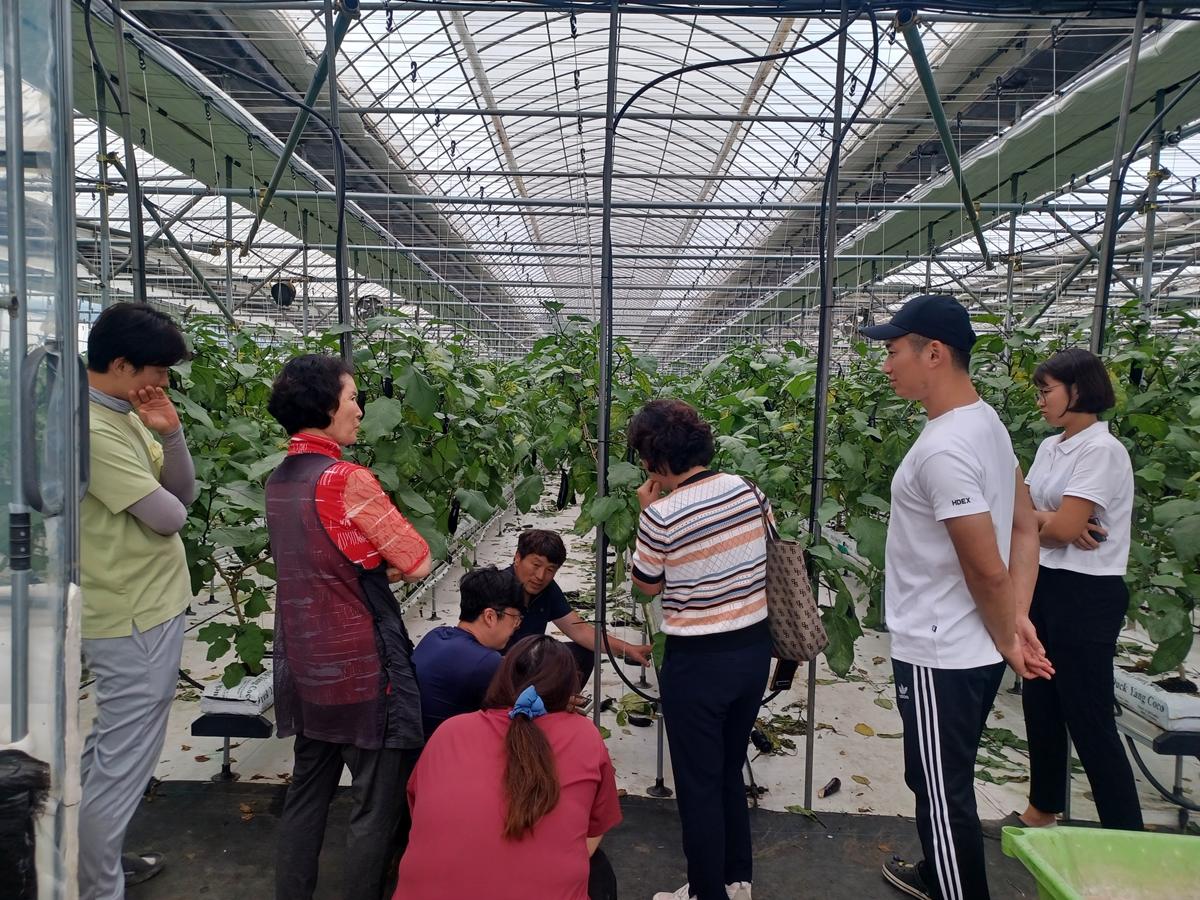 광주시농업기술센터, 농작업 안전보건관리 컨설팅 참여자 모집.jpg