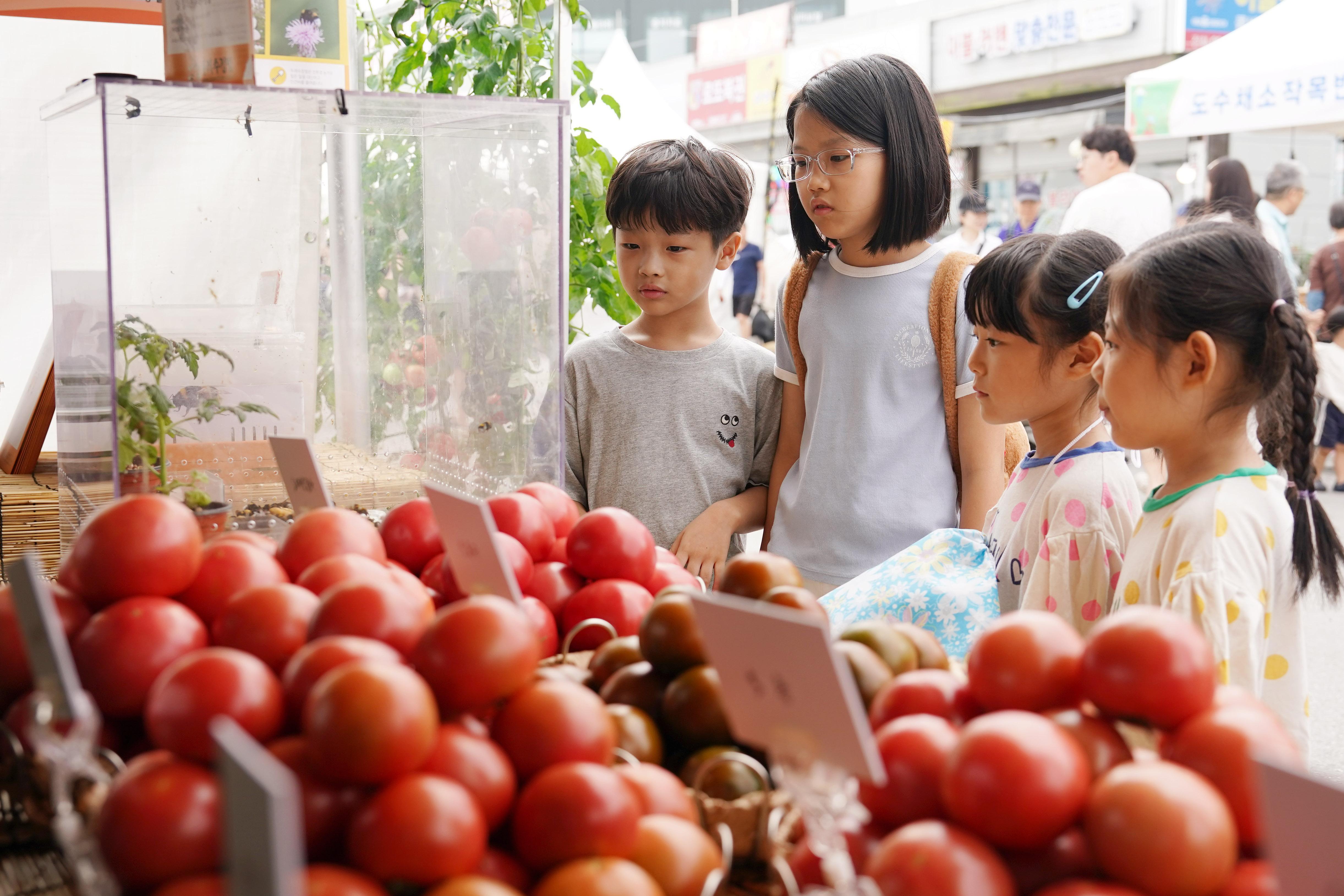 제23회 퇴촌토마토거리축제 사진모음