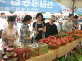 광주시 토마토 사진2