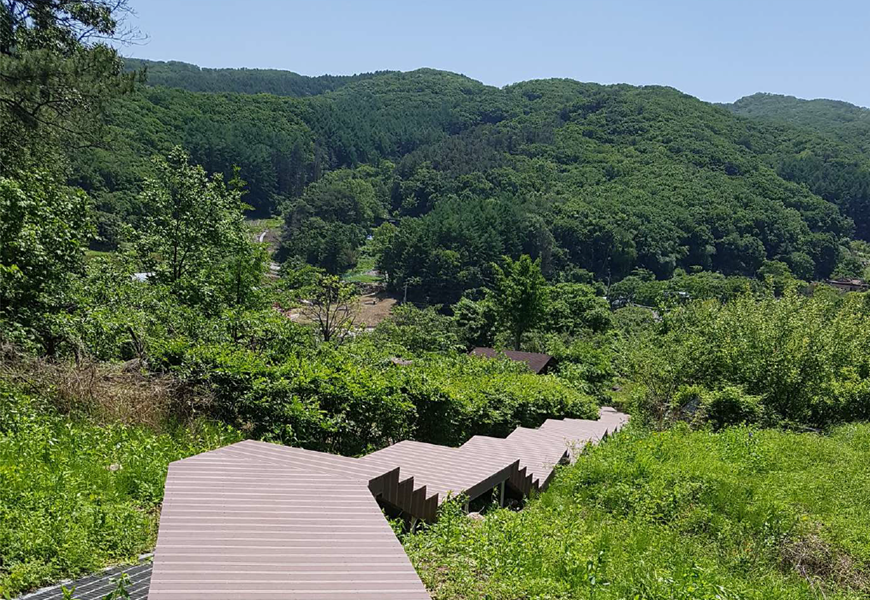 나무데크길 사진