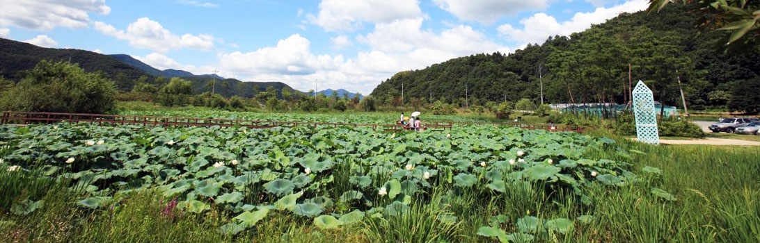 Gyeongan Marsh Ecological Park1