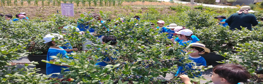 곤지암베리팜 전경2