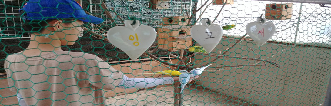 곤지암베리팜 전경3