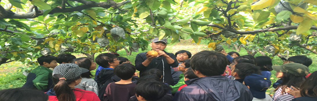 대림배농원 전경7