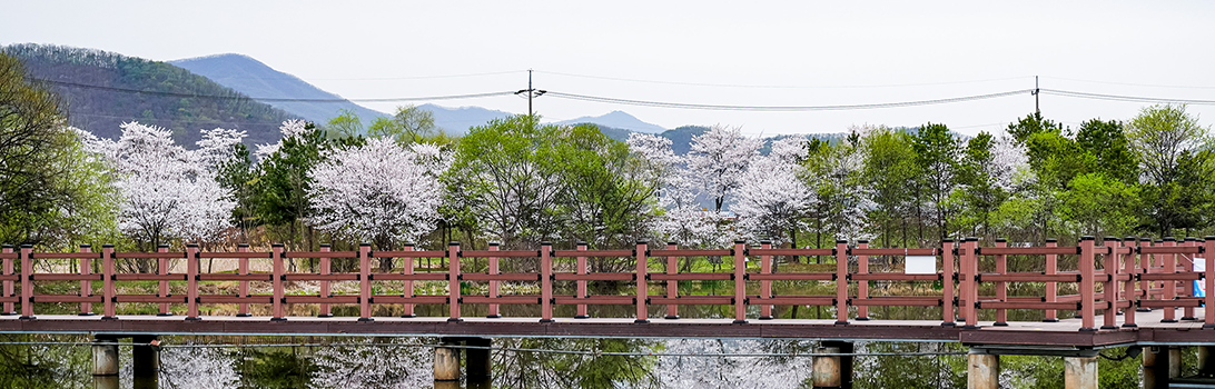 경안습지생태공원 전경4