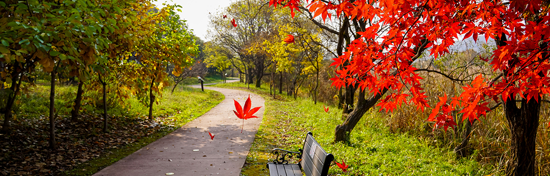 경안습지생태공원 전경8