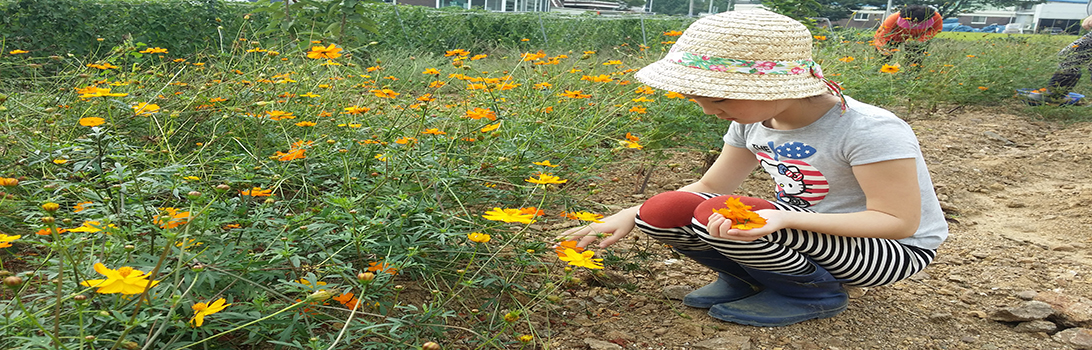 오색향농원 전경9