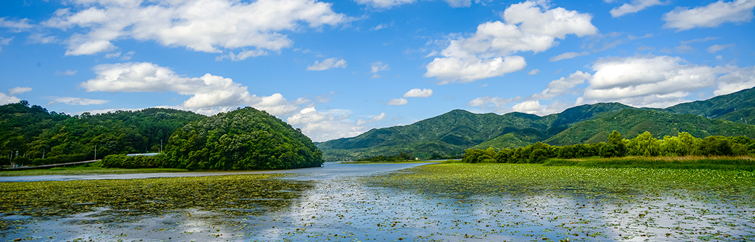 팔당물 안개공원 전경5