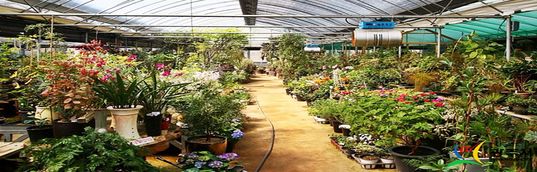 퇴촌식물원 전경3